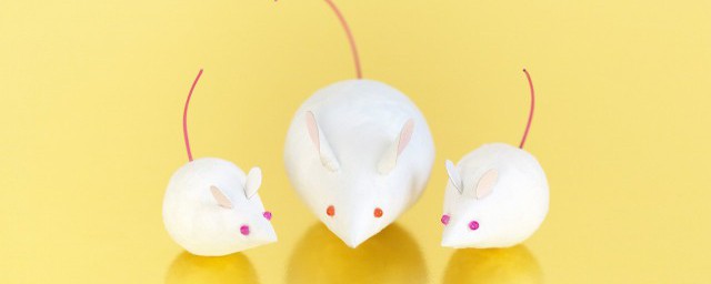 家里防老鼠妙招 家里防老鼠小秘诀
