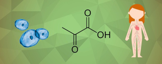 丙酮酸化学式 丙酮酸有什么用