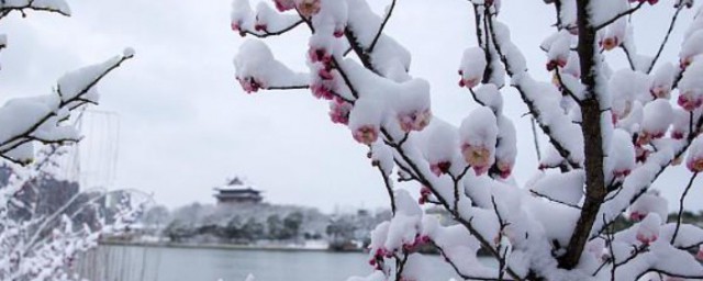 踏雪寻梅原型 踏雪寻梅原型是谁