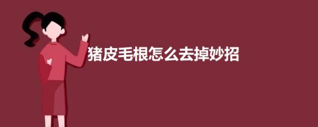 猪皮毛根怎么去掉妙招 猪皮毛根的去除方法