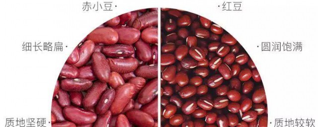 红豆和赤小豆的区别有哪些 红豆和赤小豆的区别简单简介