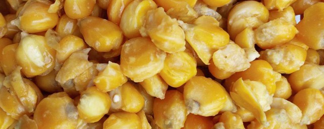 玉米粒饵料怎样做 玉米粒饵料怎样做