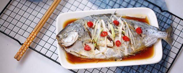 文昌鱼的功效与食用要领 文昌鱼怎么做