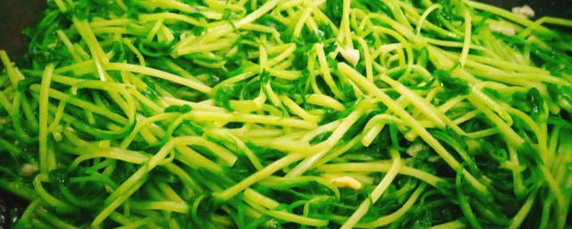 豌豆苗炒不熟有毒吗 豌豆苗炒不熟有没有毒
