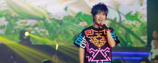 大张伟棒棒鸡歌词 鸡叫过大年歌曲简介