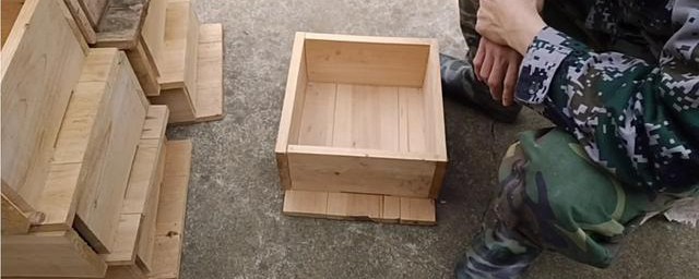 格子箱养蜂的精确技巧 格子箱养中蜂操作技术简介