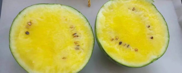 黄皮蜜瓜叫什么瓜 黄皮蜜瓜简介