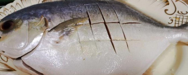 怎样洗鲳鱼 洗鲳鱼的次序