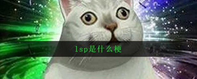 lsp什么意思 lsp的解释