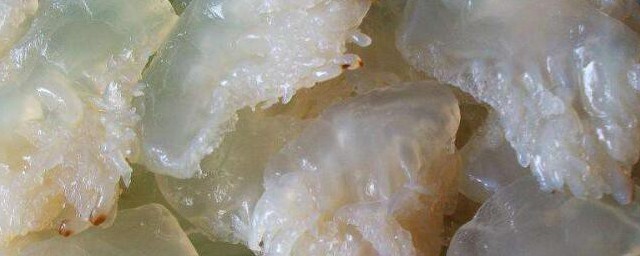 刚买回来的海蜇头怎样处理才能吃? 刚买回来的海蜇头怎样处理才能吃