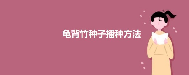 龟背竹种子播种办法 龟背竹种子如何播种种植