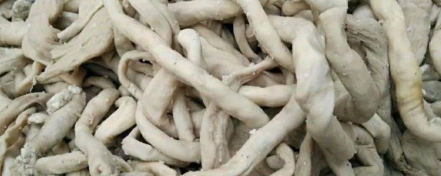 羊肠制作技巧 羊肠怎样做好吃