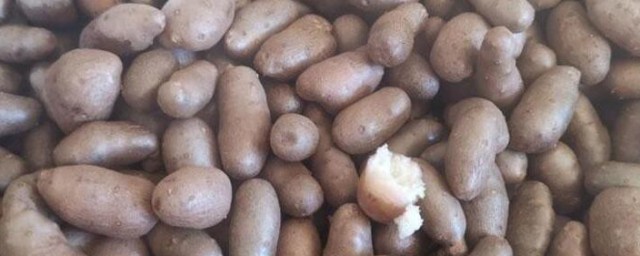 山药豆的皮可以吃吗 山药豆的皮有做什么作用