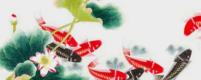 鱼的寓意和精神 鱼的寓意是什么