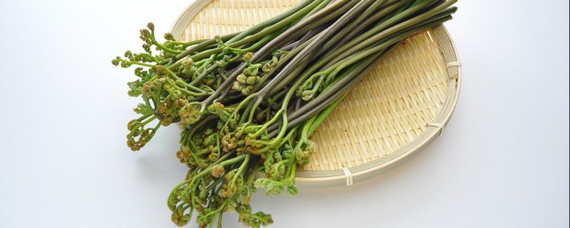 素炒野生蕨菜的做法 家常酸辣蕨菜做法简介