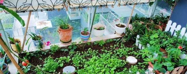 蔬菜施肥松土技巧 怎样给蔬菜施肥松土