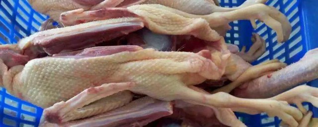 怎样精确的杀鸭子 杀鸭子精确的技巧