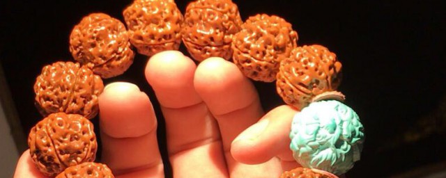 金刚菩提子一串多少颗 金刚菩提子一串几颗