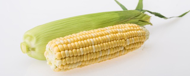 玉米辅食做法八个月 八个月的宝宝怎样做玉米辅食?
