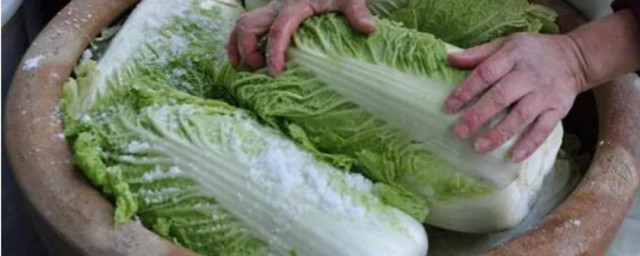 东北农村的酸菜腌制技巧 怎样腌制酸菜