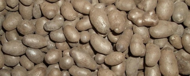 山药豆如何吃 制作孜然山药豆的要领