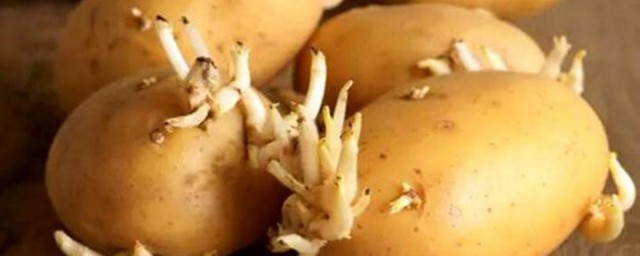 发芽的土豆怎样处理 土豆发芽可以吃吗