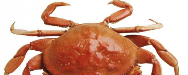 螃蟹有几条腿 关于螃蟹的简介