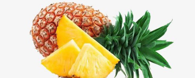 菠萝的象征爱情含义 菠萝的象征爱情含义简单介绍