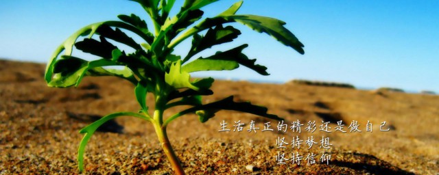 励志文案简短有关坚持 有关励志类的坚持短句有什么
