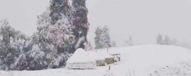 梦见六月飞雪是什么征兆 梦见六月飞雪的解释