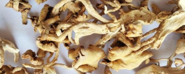干的黄金菇怎样做 干的黄金菇的做法