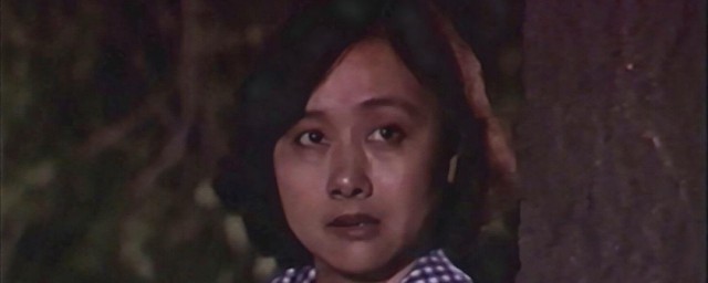 渴望大结局剧情是什么 渴望电视剧介绍