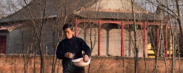 种田施肥小妙招 种田的时候应该怎么施肥