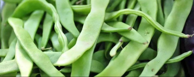 芸豆的腌制技巧 芸豆的腌制技巧是什么