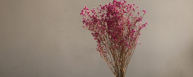 晒干花的技巧 干花怎样晒
