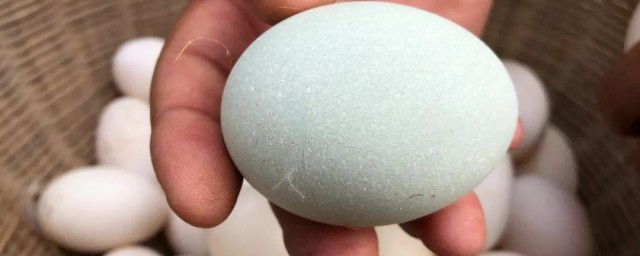 双黄鸭蛋怎样形成的 双黄鸭蛋形成原因