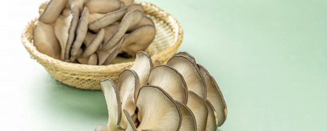 家庭种蘑菇的简易方法 蘑菇家庭种植要领