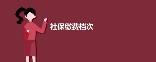 社保缴费档次 社保缴费的标准介绍