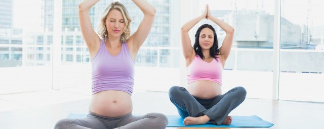 孕妇养什么花对胎儿好 什么花孕妇养了对胎儿好