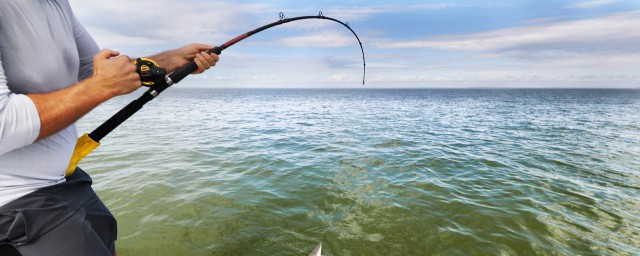 浅海钓黑鲷的技巧 海钓黑鲷的3种钓法技巧