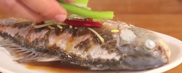 孕妇吃海鲫鱼有什么好处 孕妇吃海鲫鱼好处是什么