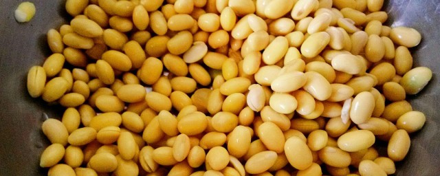 冰冻的黄豆怎样做 冰冻的黄豆做法