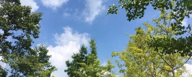 除去空气中的尘埃技巧 除去空气中的尘埃的小诀窍