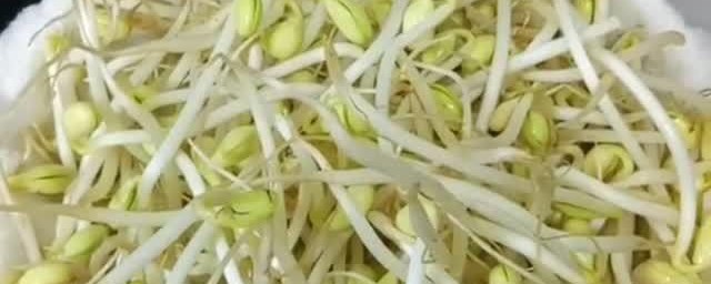 快速去掉豆芽皮的技巧 去掉豆芽皮的技巧是什么