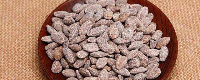 吊瓜子是什么瓜 吊瓜子是什么的果实