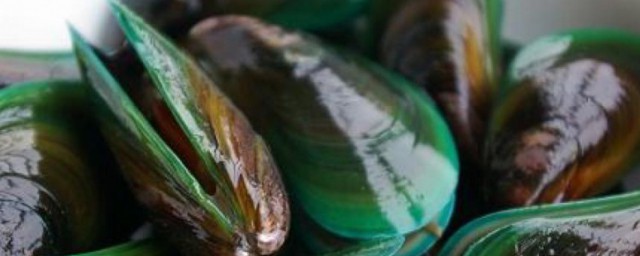 淡菜和青口的区别 淡菜和青口的区别介绍