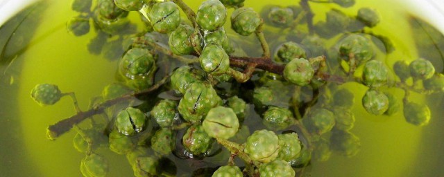 自制花椒油做法步骤 怎么做花椒油