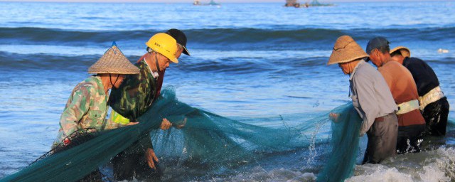 海鲜虱子处理方式 鱼虱子如何彻底去除