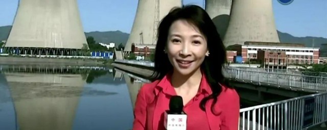 新闻特点三大特点 新闻的三个特点分别是什么