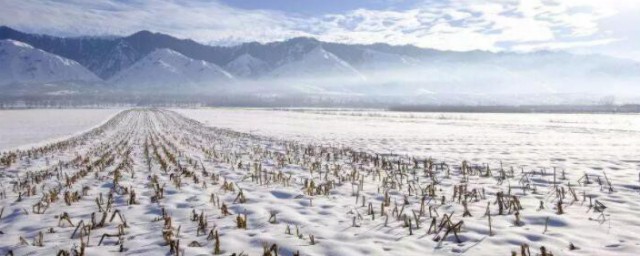 盐化雪的原理 盐化雪的原理是什么